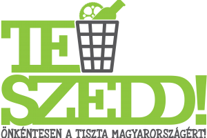 teszedd